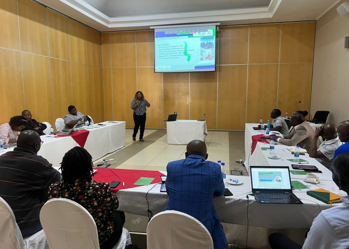 Spanish Interpretation Services